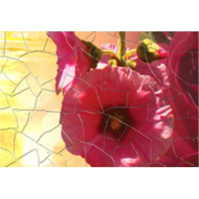 Керамо +4913 ₽