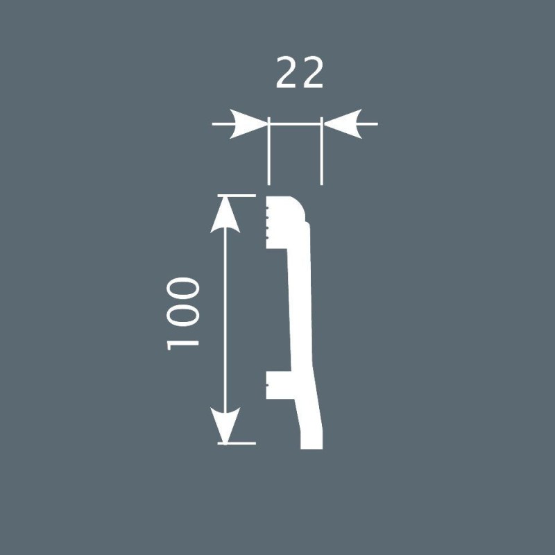 Плинтус П022, 100х22, 2000мм, Экополимер/20