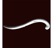 Декоративный элемент из гипса ди110l