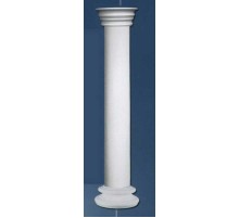 Колонна в сборе N0301-1