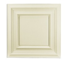 Кессон потолочный R4009