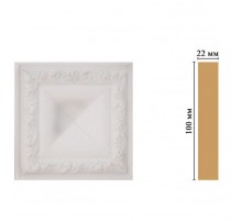 D207-115 Вставка(100*100*22 мм)