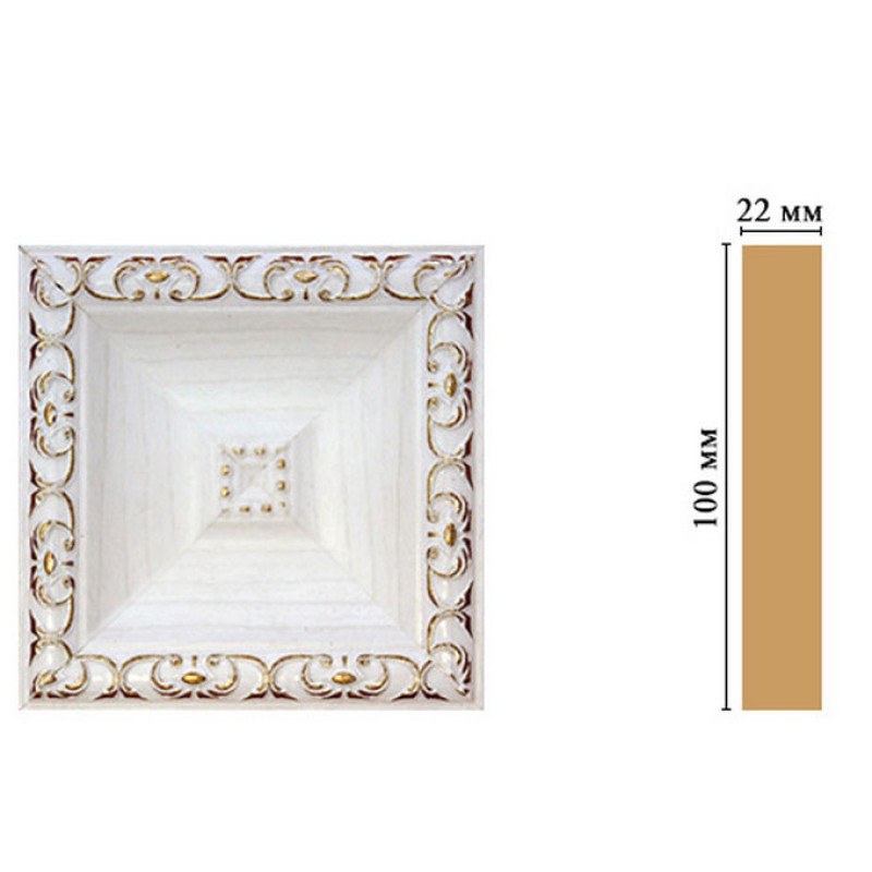 D207-118 Вставка 100*100*22 мм