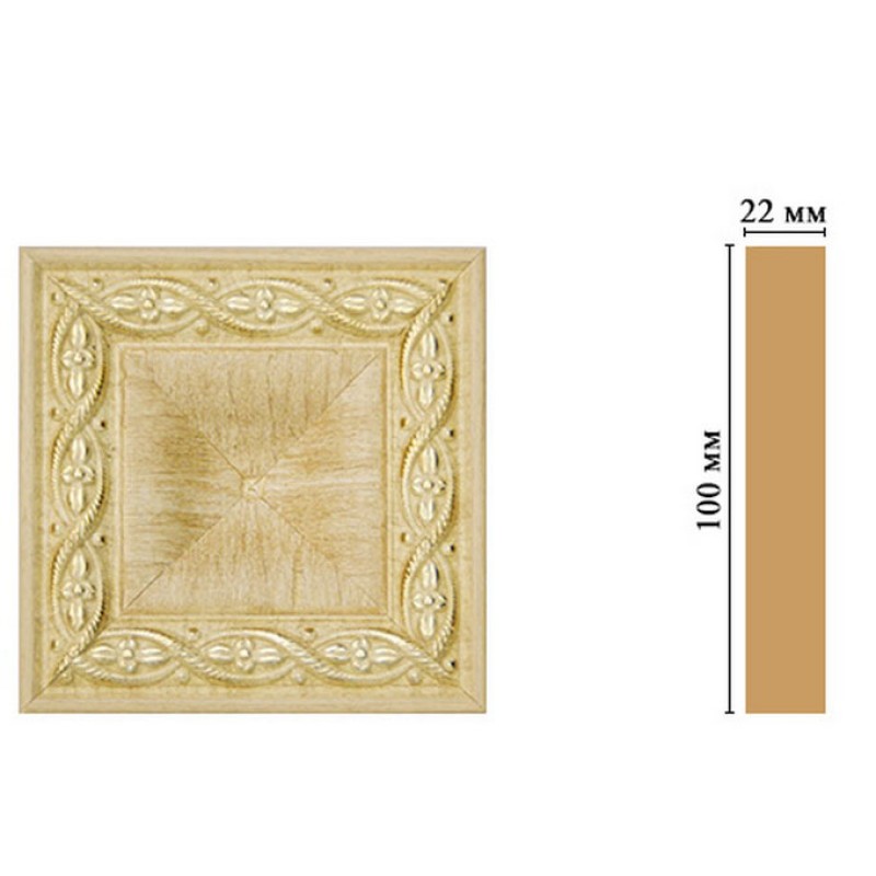 D207-5 Вставка 100*100*22 мм