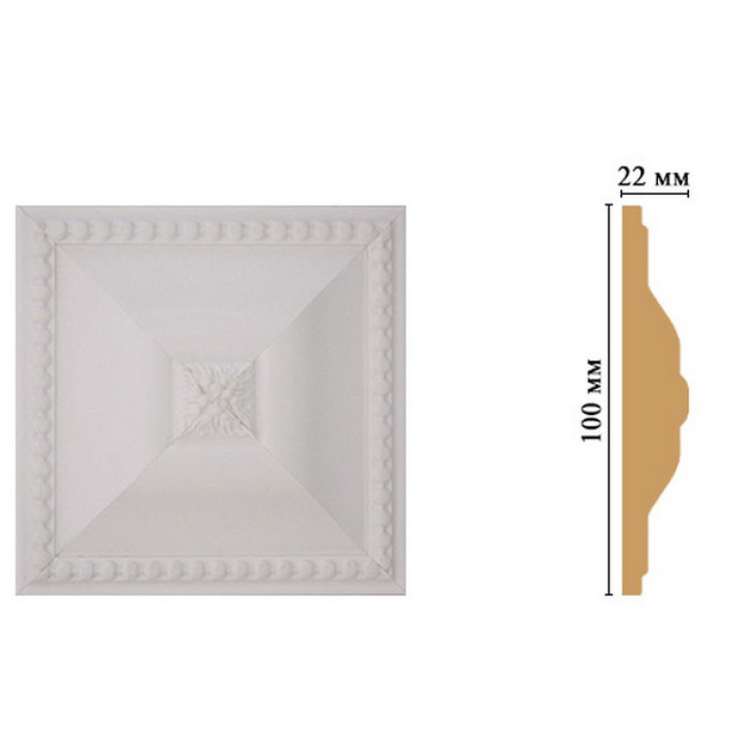 D209-115 Вставка 100*100*22 мм