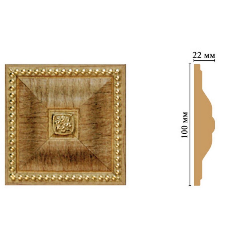 D209-4 Вставка 100*100*22 мм