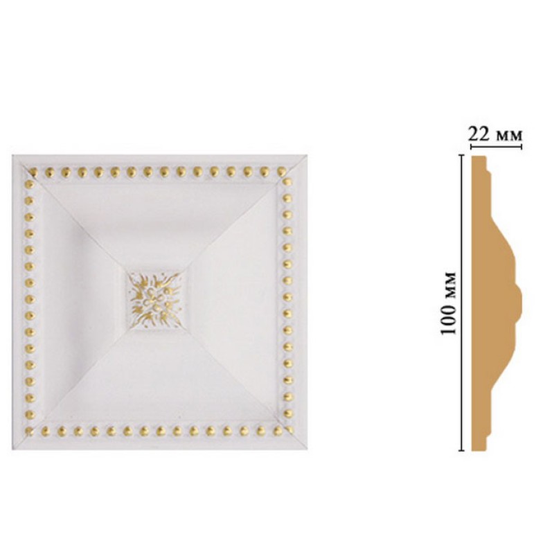 D209-54 Вставка 100*100*22 мм
