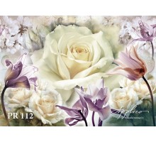 Панорама PR112