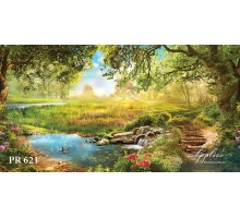 Панорама PR621