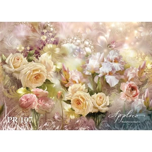 Панорама PR107