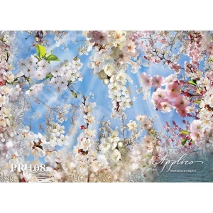 Панорама PR108