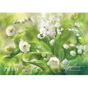 Панорама PR111