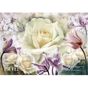 Панорама PR112