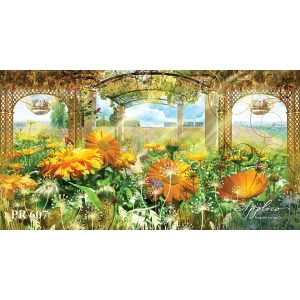 Панорама PR607