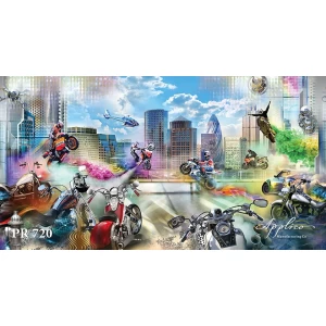 Панорама PR720