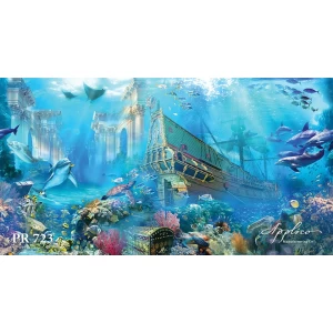 Панорама PR723