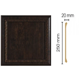 D25-1 Вставка 250*250 мм