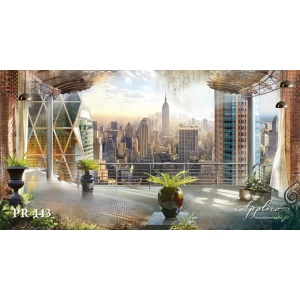 Панорама PR443