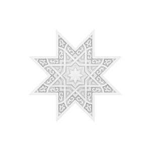 потолочная панель 1.57.501